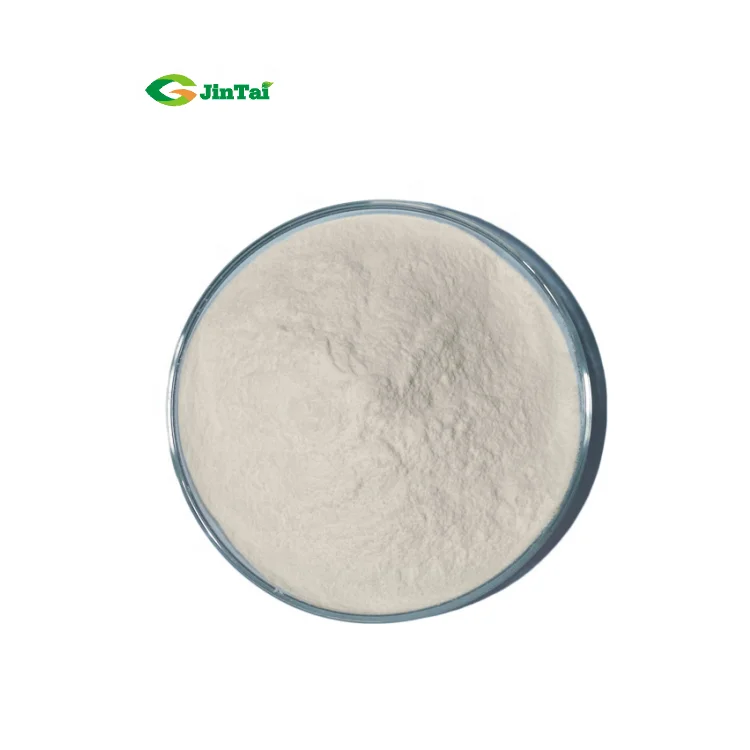 Papain powder papaya enzyme powder 1,500,000u/g, 6000USP