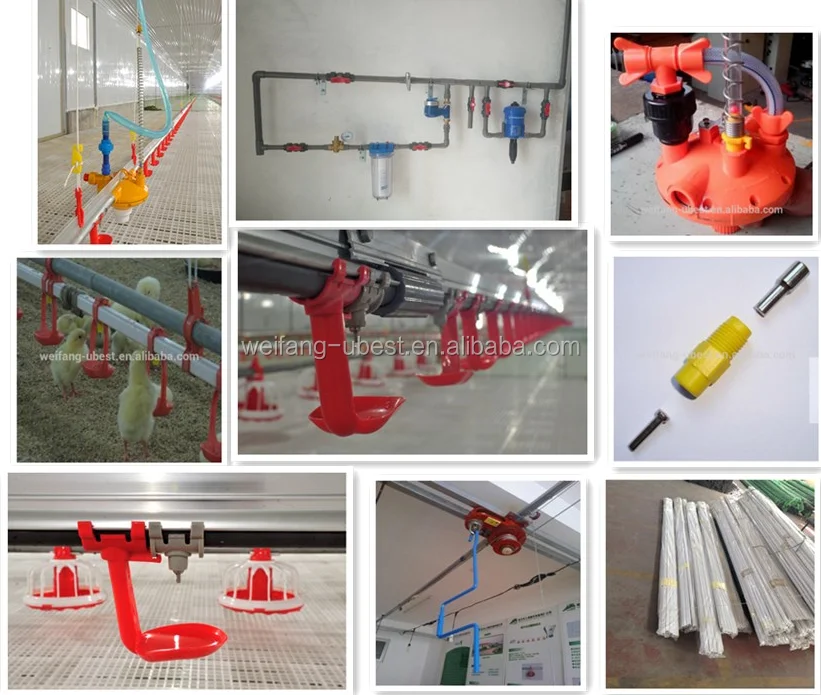 Design Modern High Quality Chicken Feeding Equipment/poultry Hopper Feeder/poultry Farm for Sale in Ghana