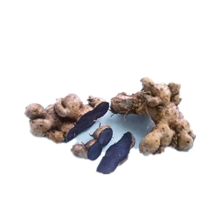 Factory Supply 100% Natural Kaempferia Parviflora Extract