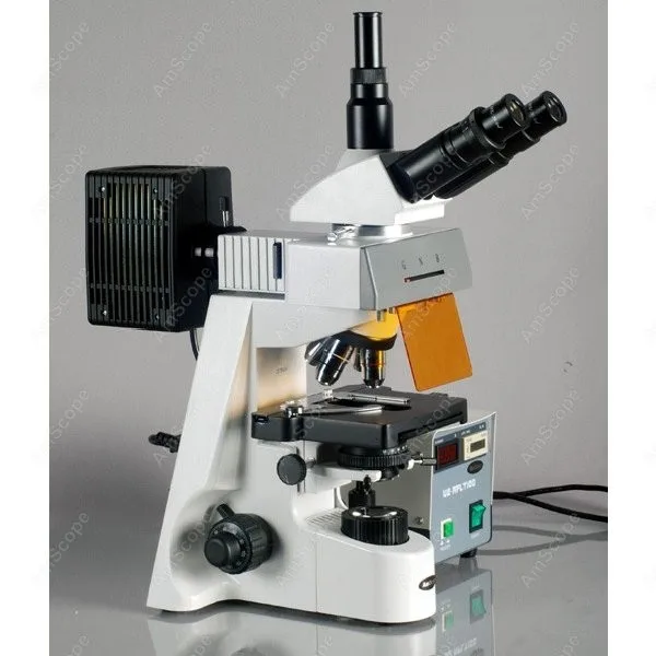 AmScope Supplies 40x-2500x Infinity Extreme Widefield EPI-Fluorescent Microscope
