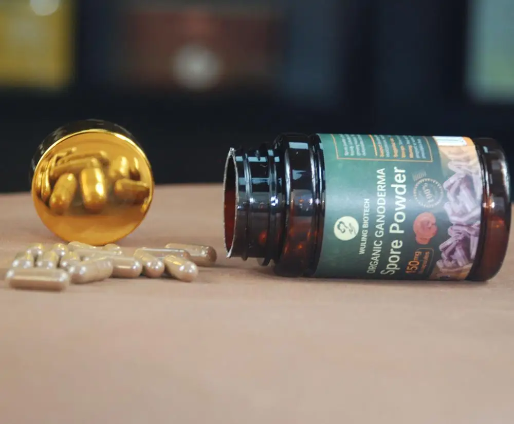 Лидер продаж порошковые капсулы с семенами грибов Ganoderma Reishi Lingzhi