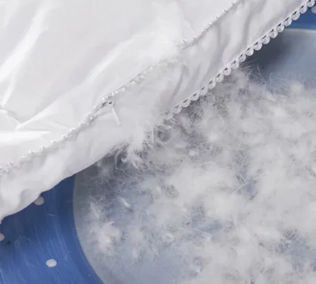 
Raw Material Washed White Goose Down 