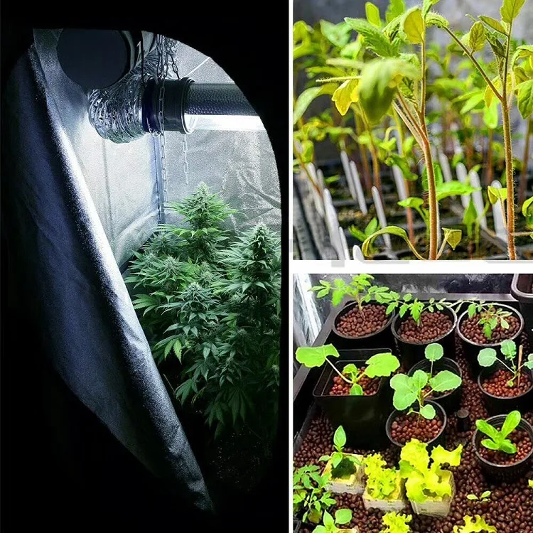 Customized Poly Garden Greenhouse Dark Room Hydroponic Complete Grow Tent Grow Light Kits 150*150*200cm * Indoor Plant Growth