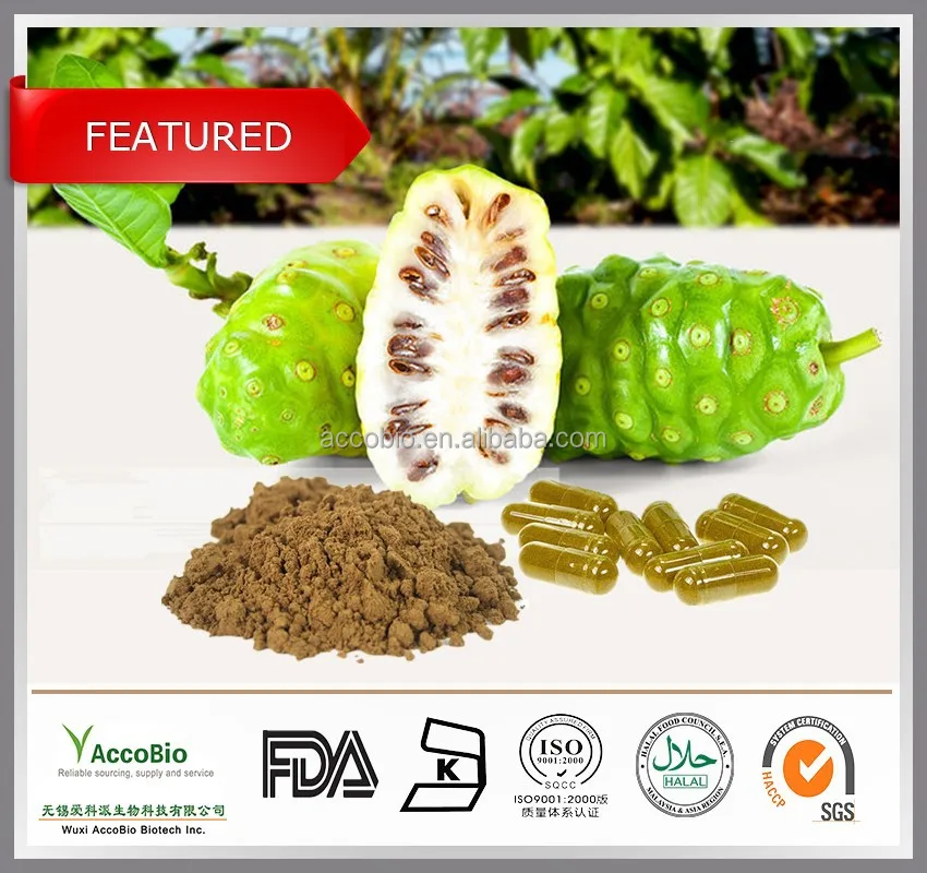 
Top quality Pure Noni fruit extract powder, Noni price, Morinda Citrifolia extract 4:1 10:1 20:1 