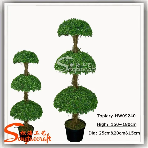 large outdoor bonsai trees a large number of bonsai plant sale home decoration bonsai