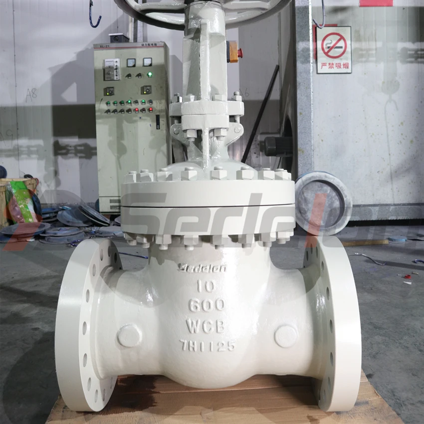 
Cast steel WCB gate valves API6D standard 10inch class 600LB 
