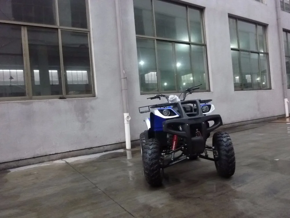  Мощный квадроцикл 4x4 250cc популярный 4-колесный для взрослых