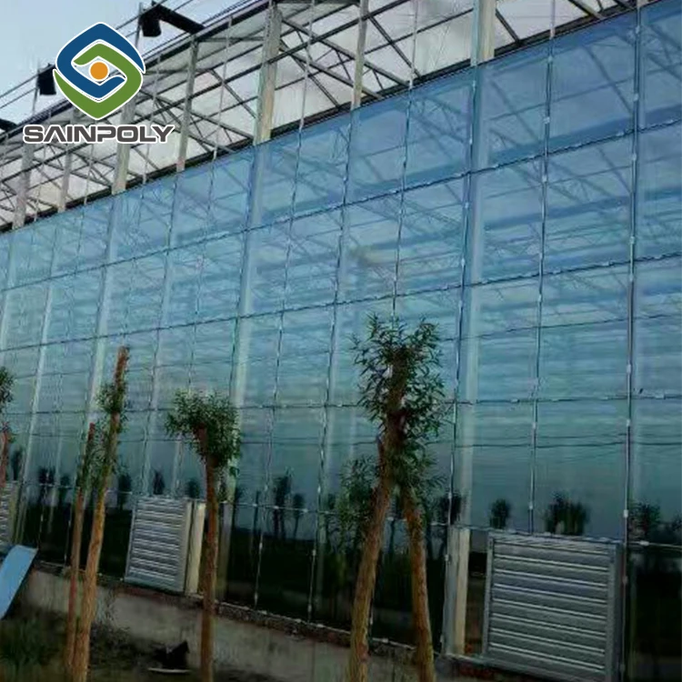 Сельскохозяйственная многопролетная стеклянная теплица для томатов на продажу