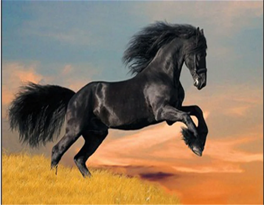 
New arrival 3D picture of horses 3D lenticular picture for wholesale 