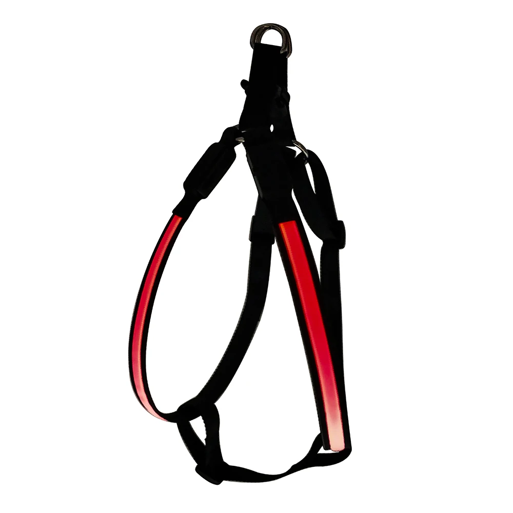 Newly Best Hot Sex Woman With Dog Pet Harness For Dog Accessories