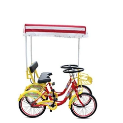 2 person surrey bikes with hand brake control/rental tandem bikes with kids seats/tandem bikes with roof hot selling