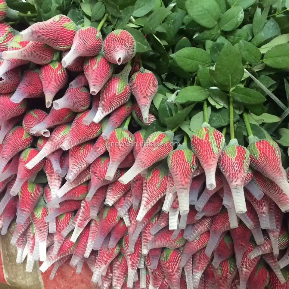 
plastic pp mesh bag making machine garlic packing net 