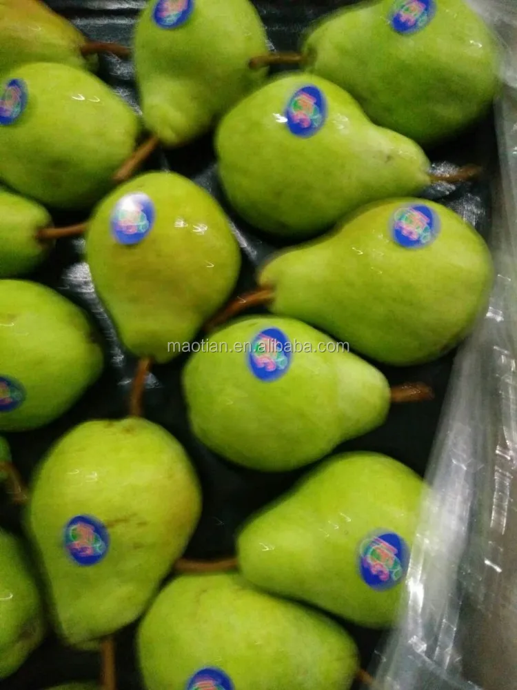
Year 2021 New Season Packham Pears 