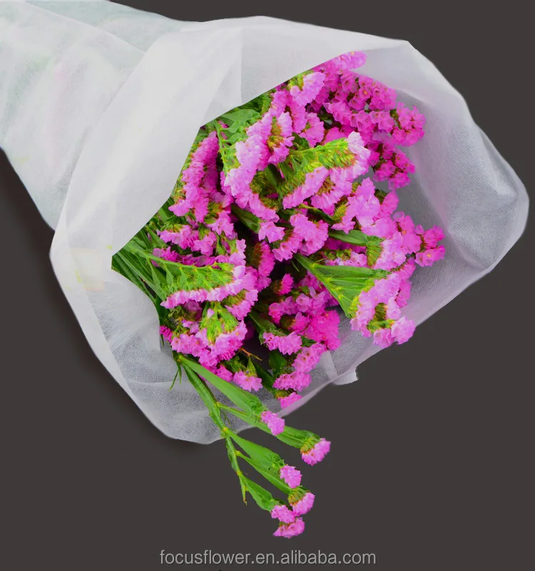 The best fresh cut statice flower from Yunnan for gift