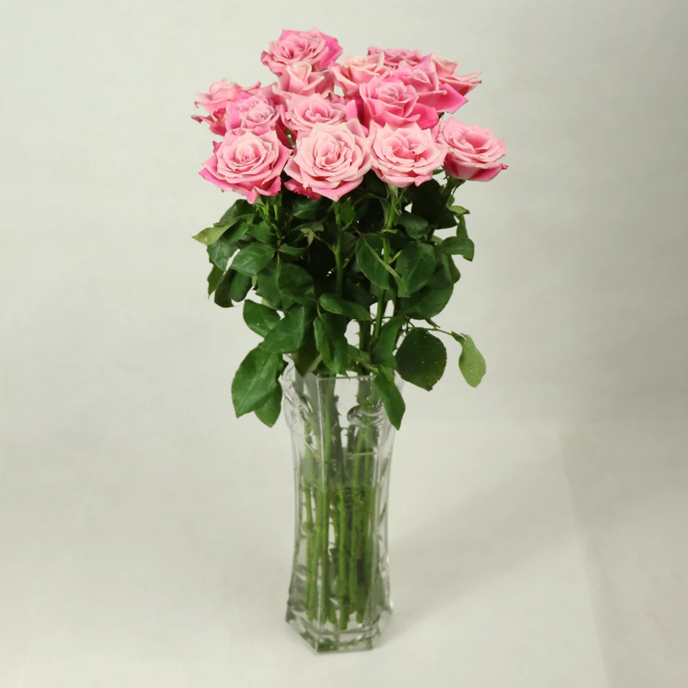 
jasmine rose fresh cut rose flower price Spray Chrysanthemum for anniversary 
