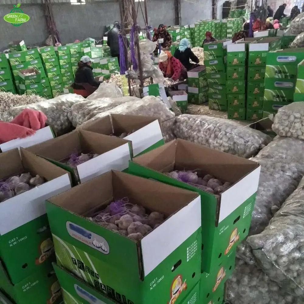 2023 New Fresh White Garlic in 10kg bags