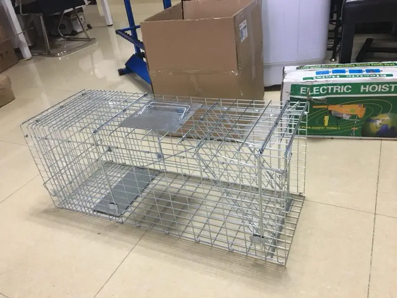Galvanized control steel wire mesh live wild animal trap cage for sale