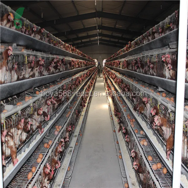 
Клетка для птицы/клетка для животных/большая клетка для цыплят 