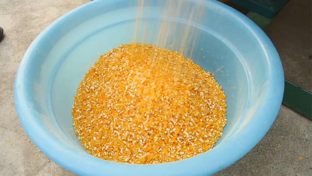 
6FW-PH Hot sale energy saving low price corn peeling machine 