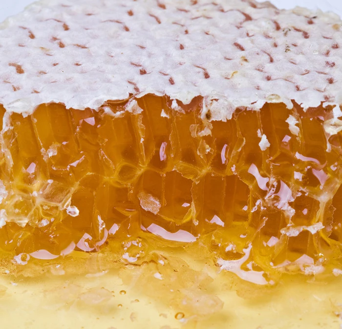 organic raw honey