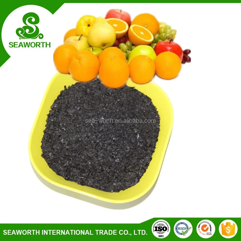 Wholesale dried seaweed for fruit
