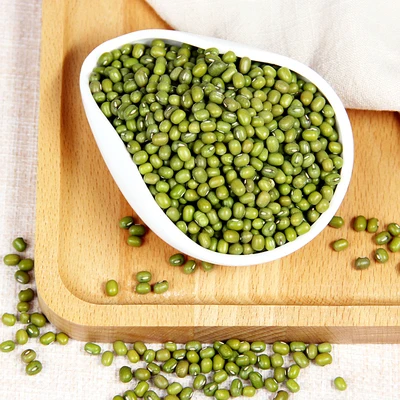 High Germination Rate Common Cultivation Sprouting Green Mung Beans
