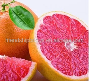 
Nursery Fruit Seedlings Citrus sinensis Sweet Blood Navel Orange Trees 