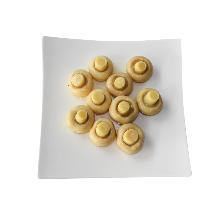 China canned fresh white champignon mushroom