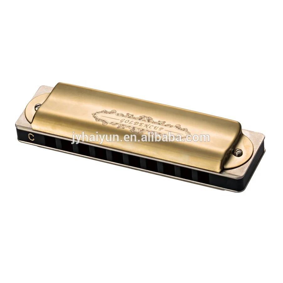Accept OEM  Professional 10 Holes Blues Harmonica JH1020P1