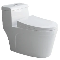 9206 Asia  Running Fashion Style One Piece ECO Friendly Toilets Comfort Height Toilet