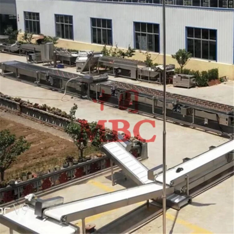 
Automatic continuous bottles canned cucumbers processing machinery 