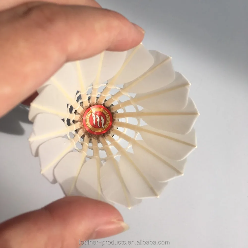 OEM RSL Victor aeroplane For Malaysia market top goose feather as protech shuttlecock