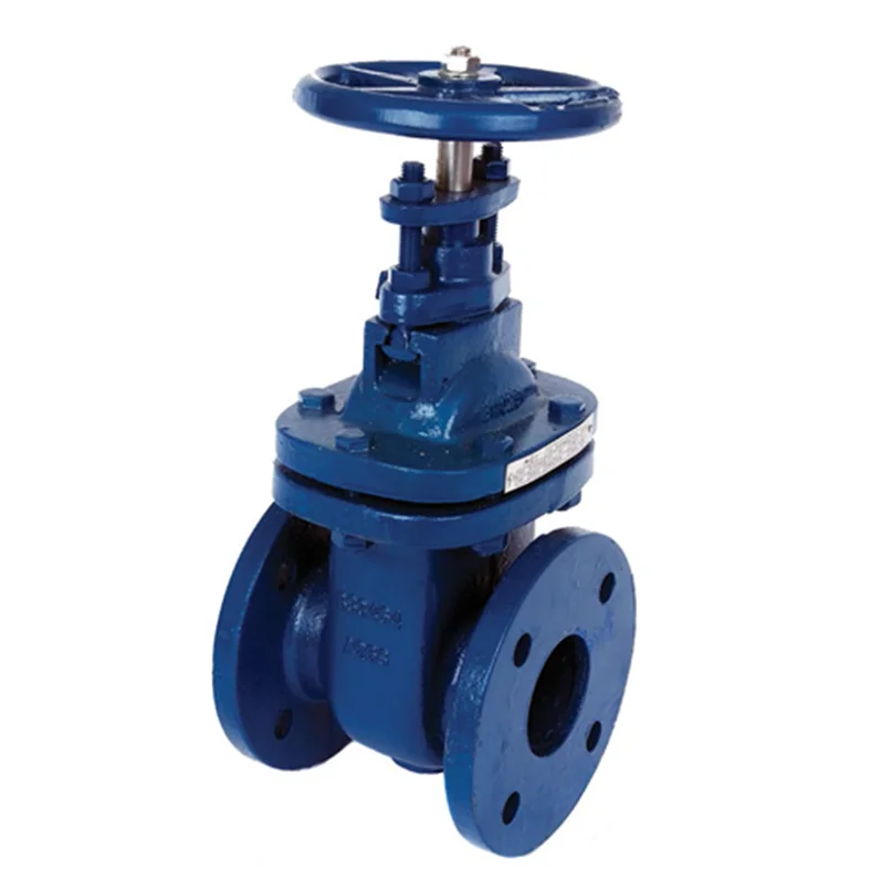 Vatac API600 Cast & Forged Gate Valve Flanged Connection