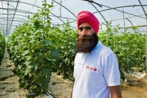 
Organic Fertilizer, Sodium Humate, Base & Foliar Fertilizer 