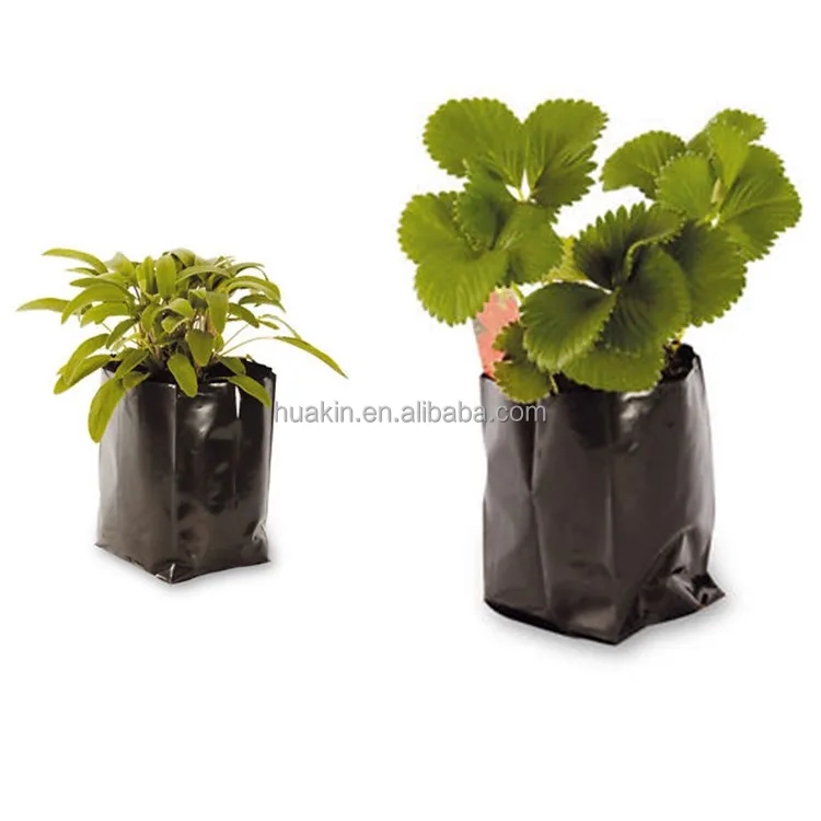 1 gal 2 gal 3gal 5gal 10gal black plastic grow planting greenhouse vegetable nursery bags