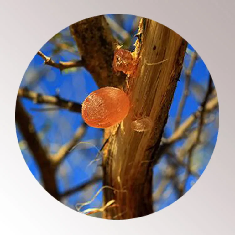 
wholesale manufacturer gum arabic factory price 