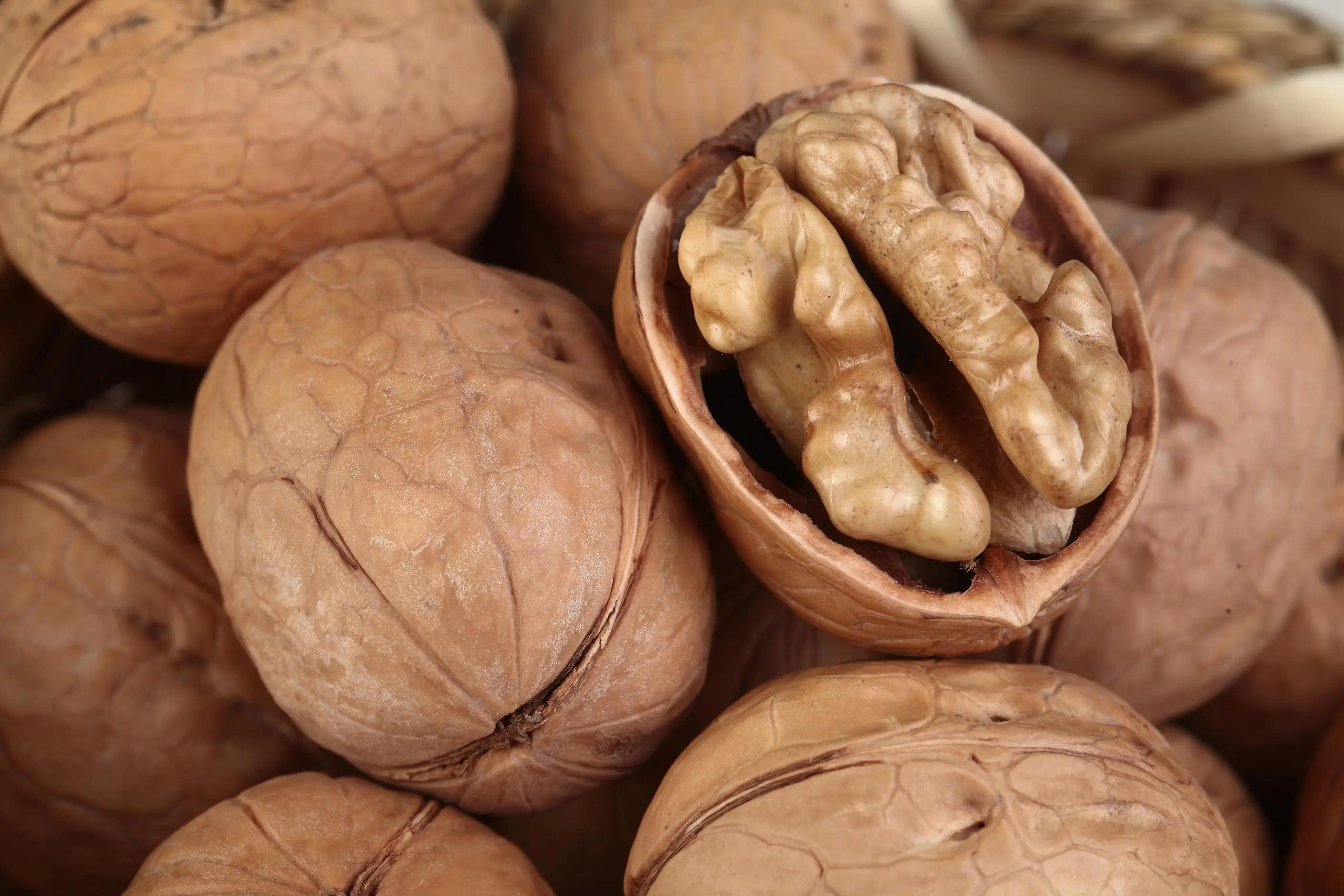 Половинки ядра ореха/грецкий орех без скорлупы/ядра ореха бабочки Китай Синьцзян сухие орехи