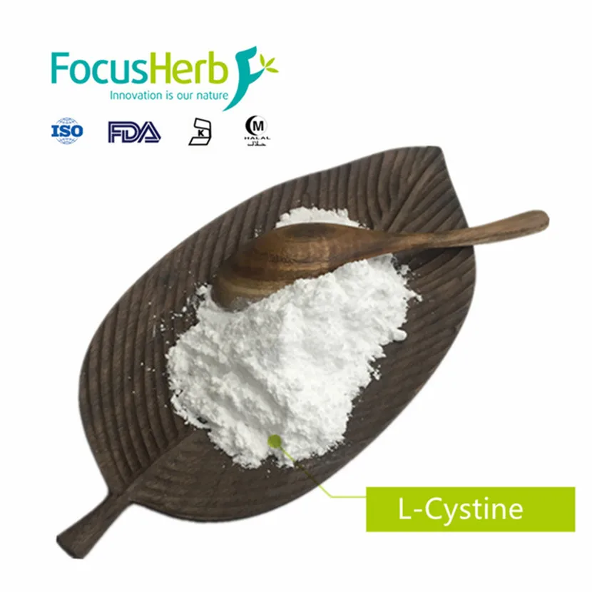 
FocusHerb L Cystine 