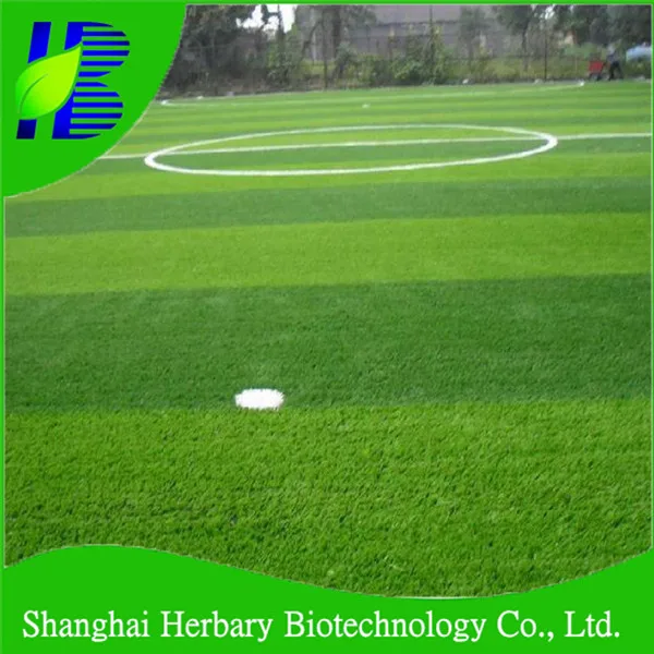 
2021 New Ornamental Grass Seeds Tall Fescue Seeds, Sheep Fescue Seeds For Turf 