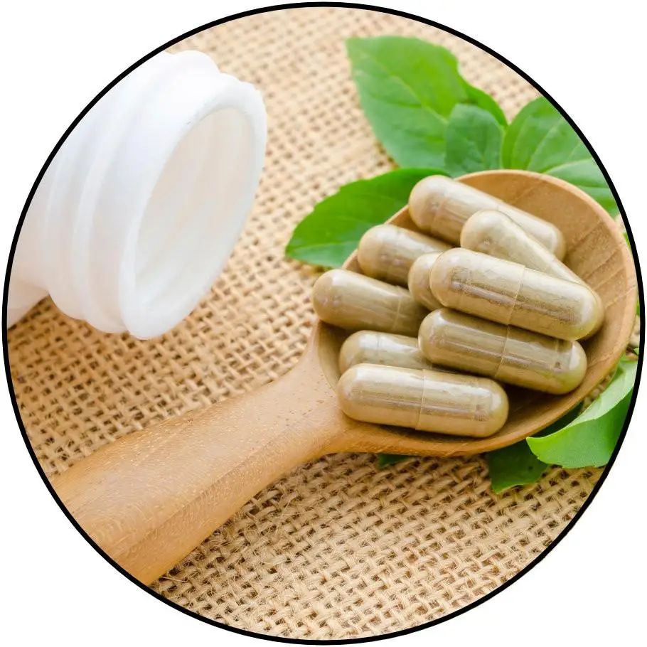 Factory Supplier Epimedium extract