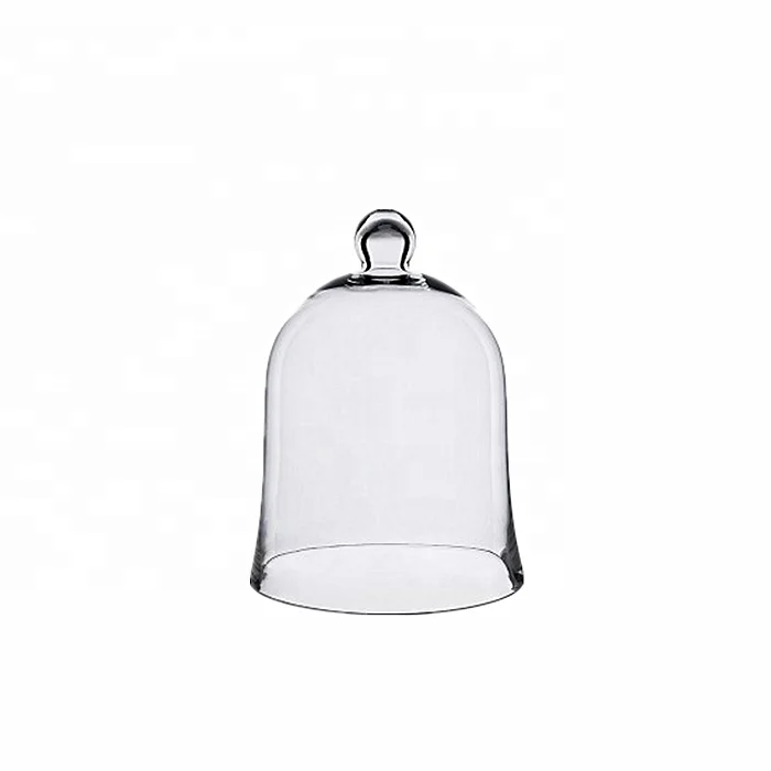 Glass Cloche Bell Jar Plant Terrarium Cloche Opening Bell Jar Glass Display Dome Cloche
