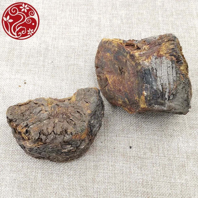 
rhubarb root Rheum tanguticum Maxim. ex Regel Da huang medicinal herbs chinese herbal 