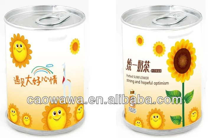 2014, танцующий Подсолнух с многолетними цветами