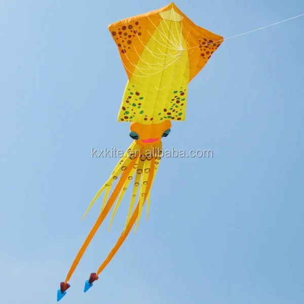Большой надувной кайт от kaixuan