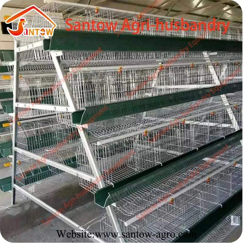 Pakistan Libya Turkey poultry farm layer cage chicken layer poultry designs