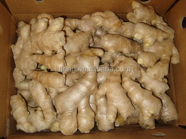 High quality 2021 dried fresh ginger root market price per ton wholesale Ginger fresh price for ginger import