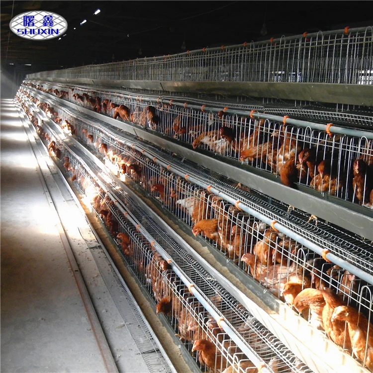Large Capacity A / H Type Poultry Farm used Philippine chicken egg layer cage