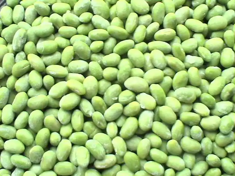 
high quality IQF frozen green soybean frozen edamame in pod 