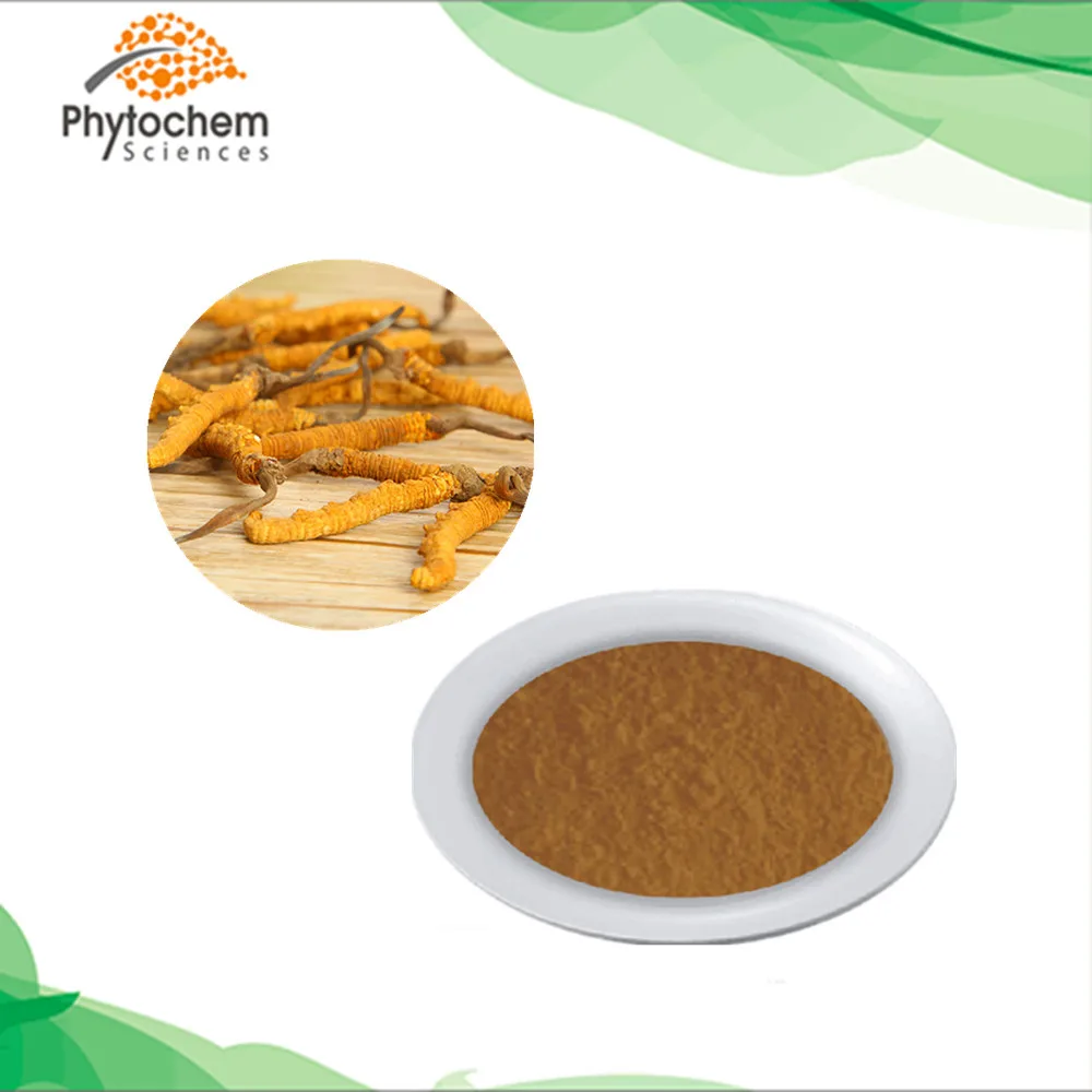 
Yarsagumba price yartsa gunbu polysaccharide powder cordycepin ergosterol adenosine cordyceps sinensis extracts 