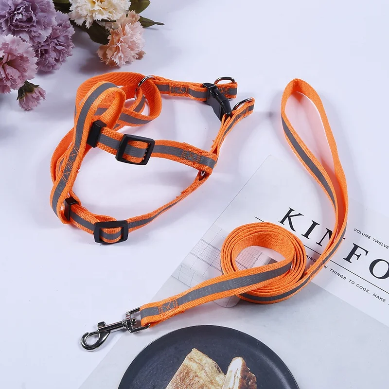 M4 Strong Nylon Dog Leash with Comfortable Neoprene Padded Handle